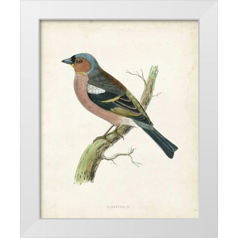 Morris Chaffinch White Modern Wood Framed Art Print by Morris