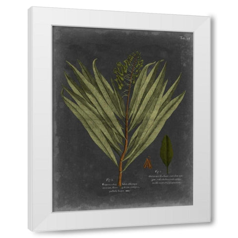 Foliage Dramatique II White Modern Wood Framed Art Print by Vision Studio