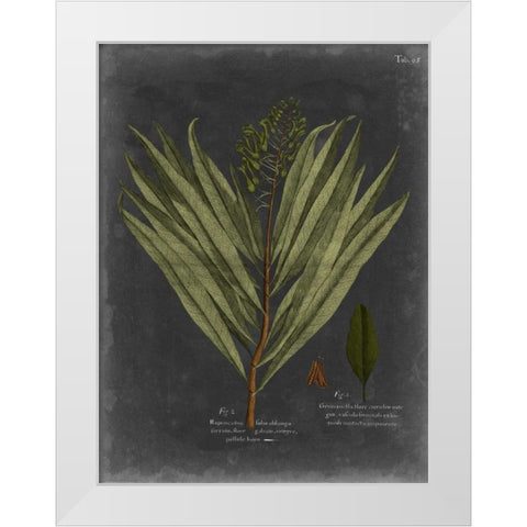 Foliage Dramatique II White Modern Wood Framed Art Print by Vision Studio
