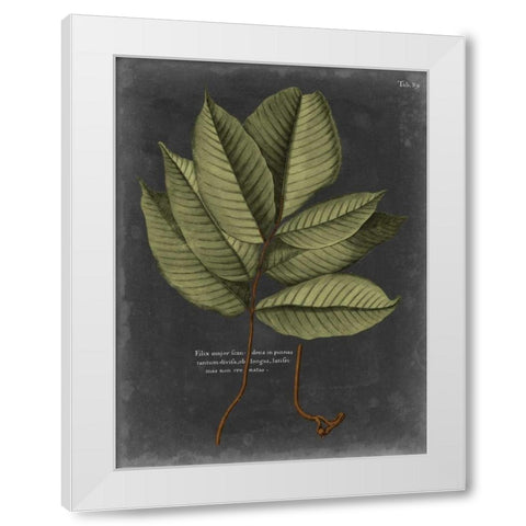 Foliage Dramatique III White Modern Wood Framed Art Print by Vision Studio