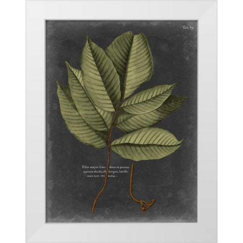 Foliage Dramatique III White Modern Wood Framed Art Print by Vision Studio