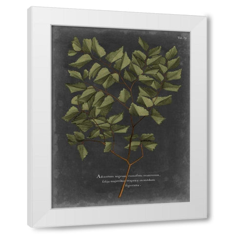 Foliage Dramatique V White Modern Wood Framed Art Print by Vision Studio