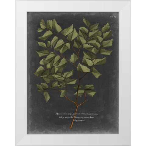 Foliage Dramatique V White Modern Wood Framed Art Print by Vision Studio