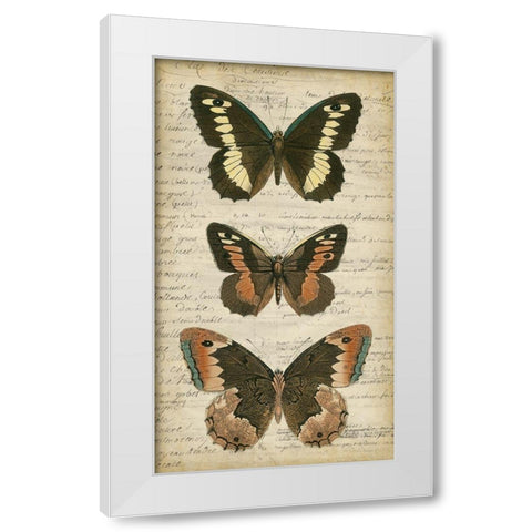 Butterfly Script I White Modern Wood Framed Art Print by Vision Studio