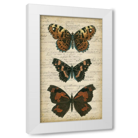 Butterfly Script II White Modern Wood Framed Art Print by Vision Studio