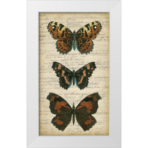 Butterfly Script II White Modern Wood Framed Art Print by Vision Studio