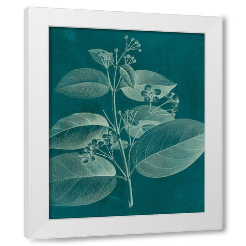 Modern Botany II White Modern Wood Framed Art Print by Vision Studio