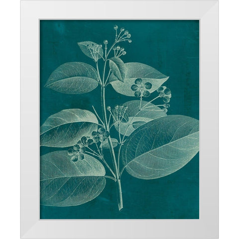 Modern Botany II White Modern Wood Framed Art Print by Vision Studio