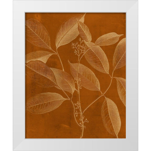 Modern Botany VI White Modern Wood Framed Art Print by Vision Studio
