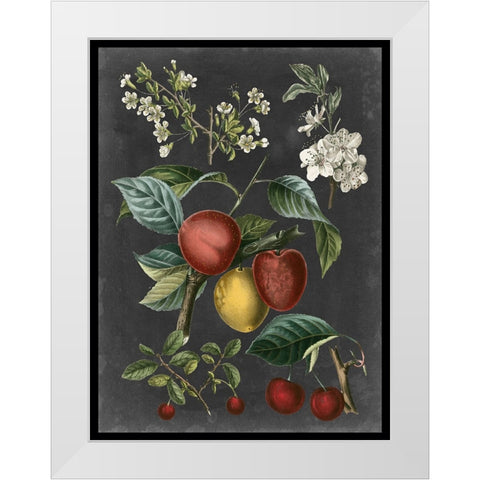 Orchard Varieties III White Modern Wood Framed Art Print by Vision Studio