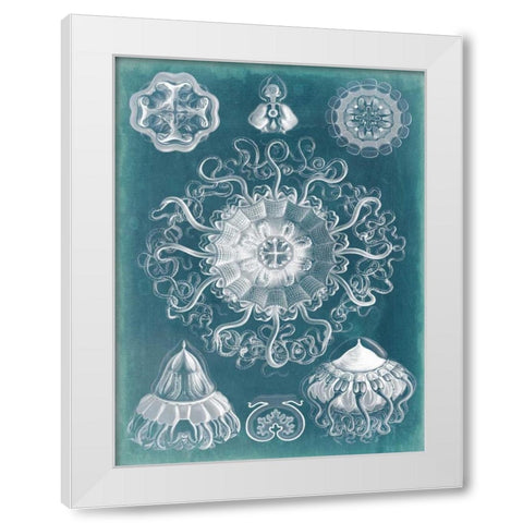 Sealife Blueprint II White Modern Wood Framed Art Print by Vision Studio