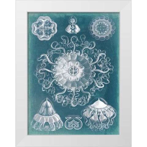 Sealife Blueprint II White Modern Wood Framed Art Print by Vision Studio