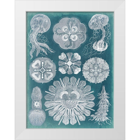 Sealife Blueprint IV White Modern Wood Framed Art Print by Vision Studio