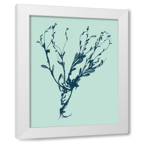 Indigo and Mint Botanical Study VI White Modern Wood Framed Art Print by Vision Studio
