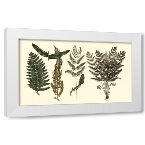 Fern Leaf Folio I White Modern Wood Framed Art Print by Oeder, Georg C.