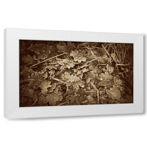 Autumn Leaves White Modern Wood Framed Art Print by Bell, Lillian