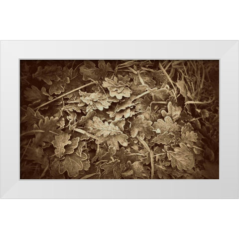 Autumn Leaves White Modern Wood Framed Art Print by Bell, Lillian