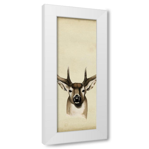 Triptych Whitetail II White Modern Wood Framed Art Print by Popp, Grace