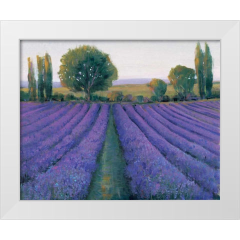 Lavender Field II White Modern Wood Framed Art Print by OToole, Tim