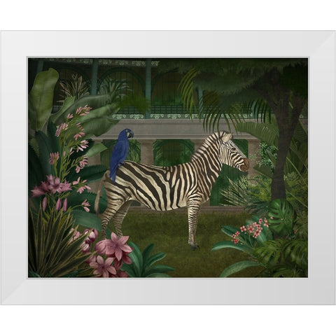 Zebra In Conservatory White Modern Wood Framed Art Print by Fab Funky
