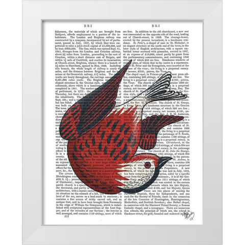 Sideshow Bird 5 Book Print White Modern Wood Framed Art Print by Fab Funky