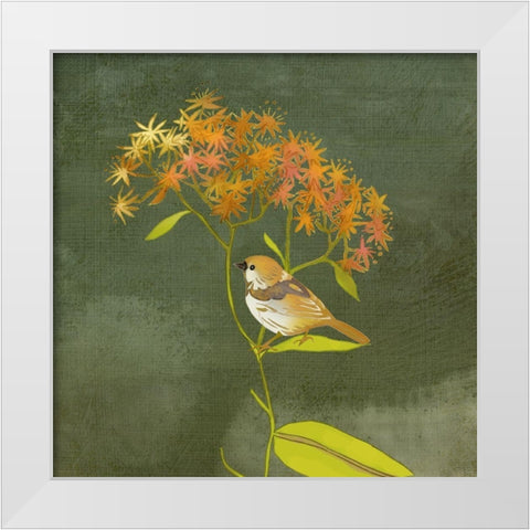 Birding Collection C White Modern Wood Framed Art Print by Zarris, Chariklia