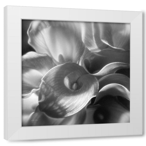 Calla Lillie Bouquet White Modern Wood Framed Art Print by Bogle, Collin