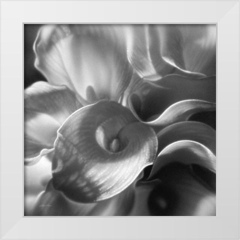 Calla Lillie Bouquet White Modern Wood Framed Art Print by Bogle, Collin