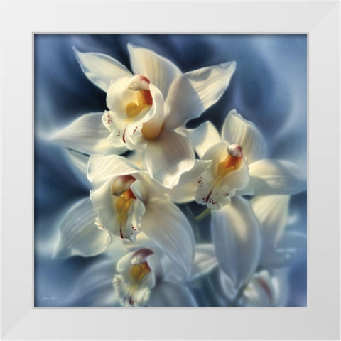 Orchids White Modern Wood Framed Art Print by Bogle, Collin