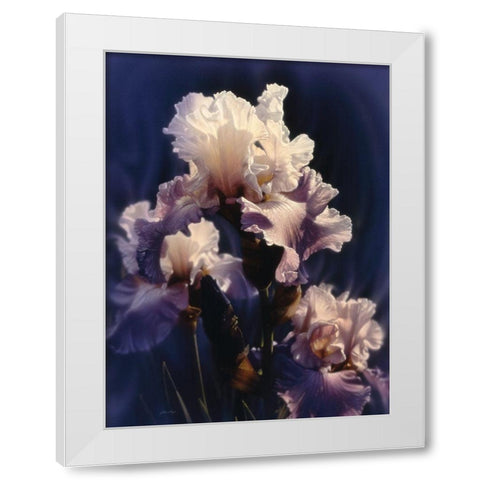 Purple Iris White Modern Wood Framed Art Print by Bogle, Collin