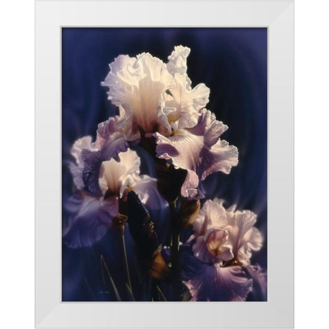 Purple Iris White Modern Wood Framed Art Print by Bogle, Collin
