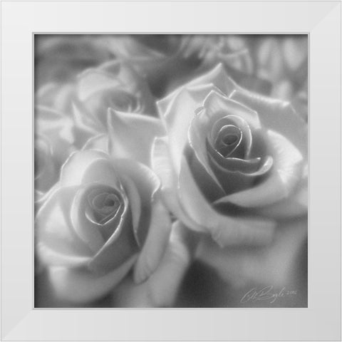 Rose Pair BandW White Modern Wood Framed Art Print by Bogle, Collin