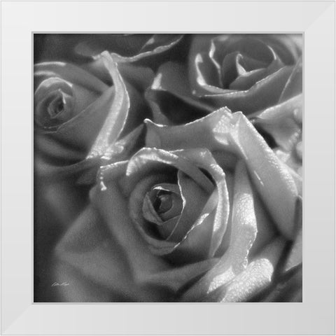 Rose Pedals BandW White Modern Wood Framed Art Print by Bogle, Collin