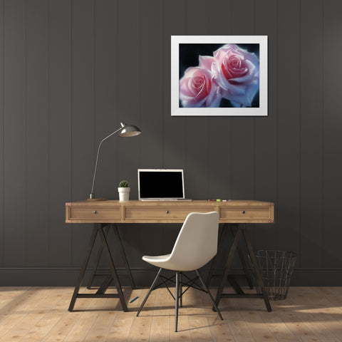 Roses - Pink Pair White Modern Wood Framed Art Print by Bogle, Collin