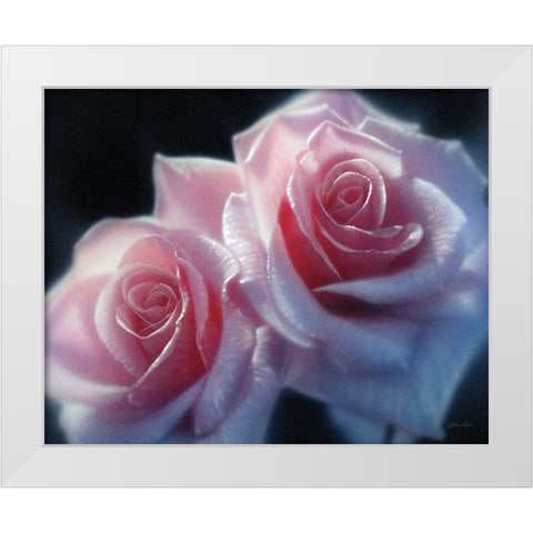 Roses - Pink Pair White Modern Wood Framed Art Print by Bogle, Collin