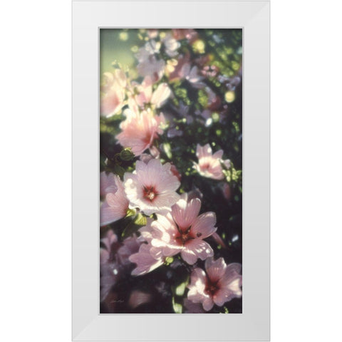 Summer Flowers White Modern Wood Framed Art Print by Bogle, Collin