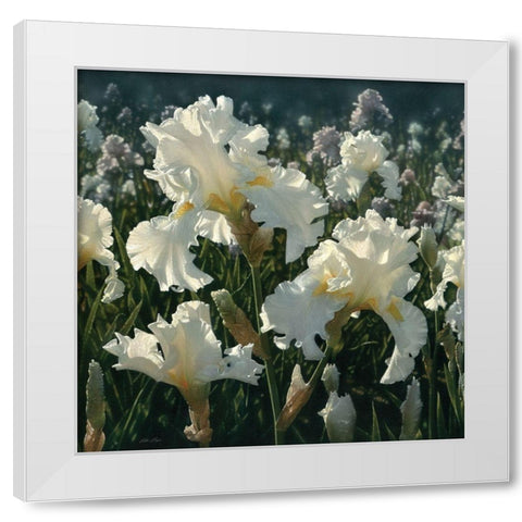White Iris Garden - Square White Modern Wood Framed Art Print by Bogle, Collin