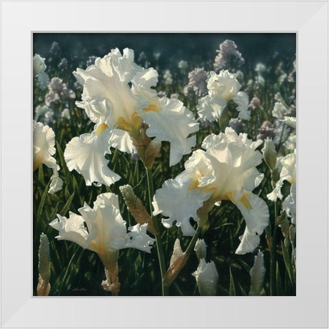 White Iris Garden - Square White Modern Wood Framed Art Print by Bogle, Collin