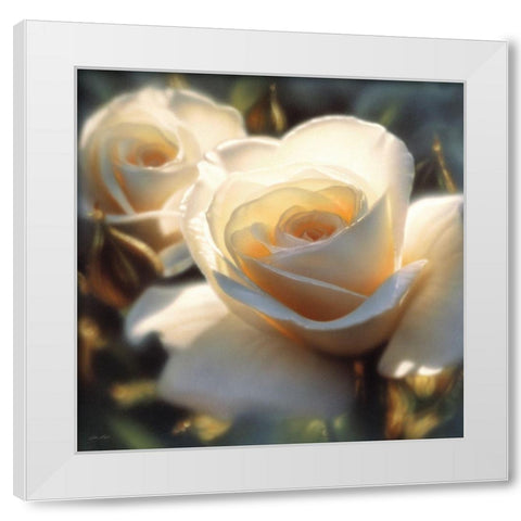 White Rose - Colors of White - Square White Modern Wood Framed Art Print by Bogle, Collin