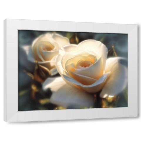 White Roses - Colors of White White Modern Wood Framed Art Print by Bogle, Collin
