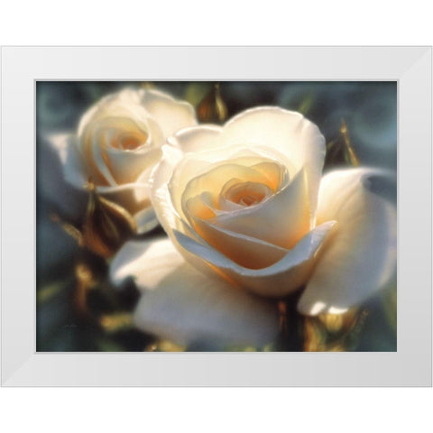 White Roses - Colors of White White Modern Wood Framed Art Print by Bogle, Collin