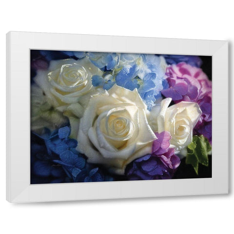 White Roses - Dancing Light White Modern Wood Framed Art Print by Bogle, Collin