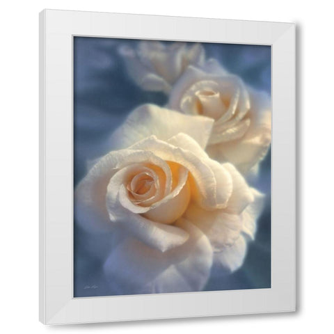 White Roses - Unforgettable White Modern Wood Framed Art Print by Bogle, Collin