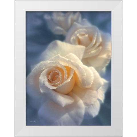 White Roses - Unforgettable White Modern Wood Framed Art Print by Bogle, Collin