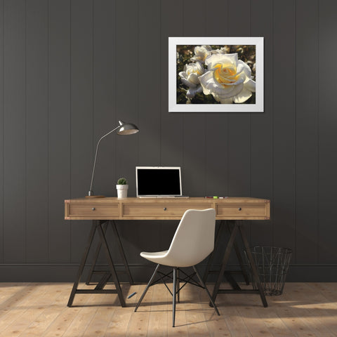 White Roses White Modern Wood Framed Art Print by Bogle, Collin