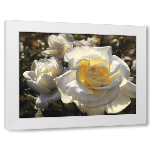 White Roses White Modern Wood Framed Art Print by Bogle, Collin