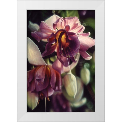 Fuchsia White Modern Wood Framed Art Print by Bogle, Collin