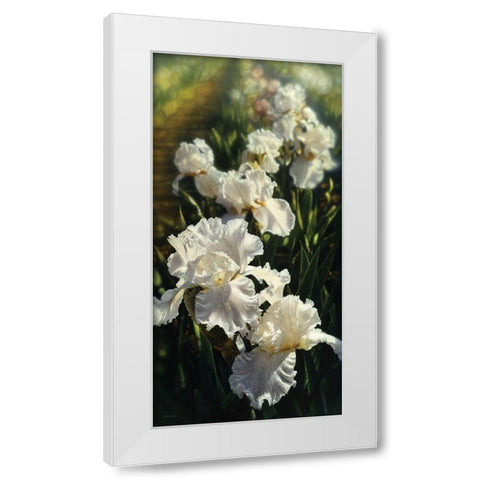 Iris Garden White Modern Wood Framed Art Print by Bogle, Collin