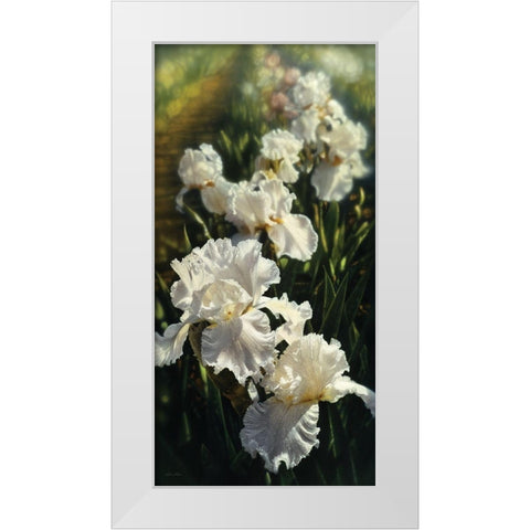 Iris Garden White Modern Wood Framed Art Print by Bogle, Collin