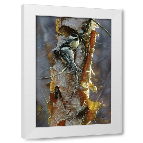 Black-Capped Chickadees - Sunlit Birch White Modern Wood Framed Art Print by Bogle, Collin